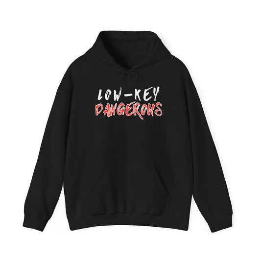 Low-Key Dangerous - Hoodie